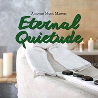 Velvet Voyage - Ambient Music Masters