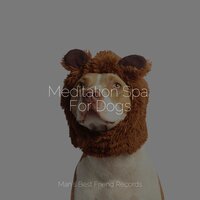 Windy Waves - Music for Leaving Dogs Home Alone & Music for Dog's Ears & Relaxing Music for Dogs