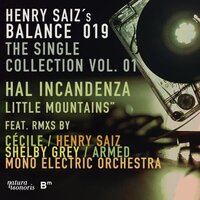 Little Mountains - Hal Incandenza & Henry Saiz