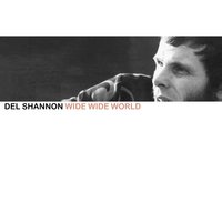 Hats Off to Larry - Del Shannon