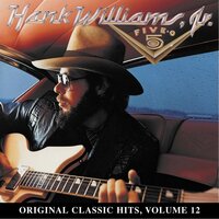 I Really Like Girls - Hank Williams Jr.