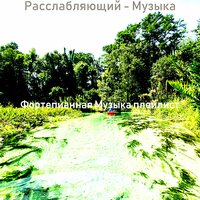 Впечатление (Фокус) - Фортепианная Музыка плейлист