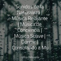 Universo De Surf - Sons da Natureza & Fabricantes De Lluvia & Canciones Para Niños