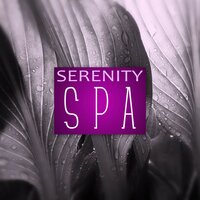 Mind Body Relation - Beautiful Spa Collection