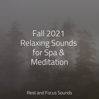 Tibet Odyssey - Calm shores & Pet Care Music Therapy & Bath Spa Relaxing Music Zone