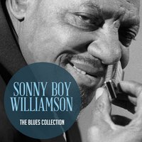 Going Inyour Direction - Sonny Boy Williamson