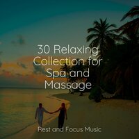 Sounds of Spring - Study Music & Sounds & Relax Meditation Sleep & Kinderlieder Megastars