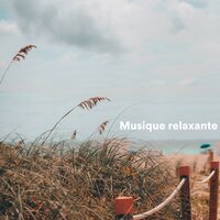 Thinking - Zone de Détente & Detente & Zone de la Musique Relaxante