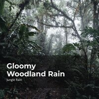 Woodland Fall of Rain - Nature and Rain & Deep Rain Sampling & Jungle Rain