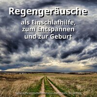 Sinnieren für Deine Gesundheit - Regengeräusche zum Einschlafen Martin Jenton & Regengeräusche & Naturgeräusche