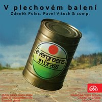 Sám já chodívám rád - Zdeněk Pulec & Studiový Orchestr Pavla Vitocha & Zdeněk Pulec, Studiový Orchestr Pavla Vitocha