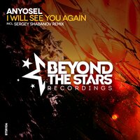 I Will See You Again - Anyosel