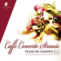 Danza Ungherese No. 5 - Caffè Concerto Strauss & Иоганнес Брамс