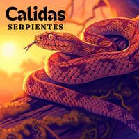 Campanas de Alegria - Música Espiritual & Musica para climatizar el hogar & Música para relajarte para tener la casa feliz