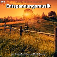 Entspannungsmusik pt. 16 - Entspannungsmusik sanft & Schlafmusik & Entspannungsmusik