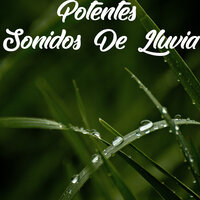 Lluvia De Montaña - Música para que duerman los niños, Sonidos de la Naturaleza Música de la Naturaleza, Sonidos de la naturaleza para dormir & Sonidos de la Naturaleza para Dormir & Sonidos de la Naturaleza Música de la Naturaleza & Música para que duerman los niños