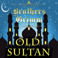Brothers Grimm. «Old Sultan». #3 - Paul Gibson