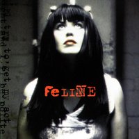 Property - Feline