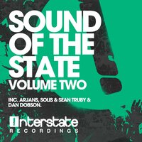 Raccoon - Solis & Holbrook