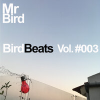 Pirata's Groove - Mr Bird