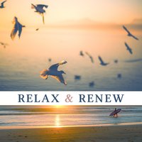 Sounds of Nature - Meditation Spa Society