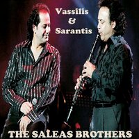 You Will Beg - Vassilis Saleas & Sarandis Saleas