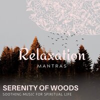 Control on Senses - Yoga Music & Power Yoga Nature Sounds