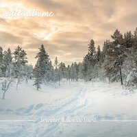 December Walk in the Forest, Pt. 20 - Daniel Dodik