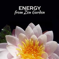 Ocean Waves & Dilruba Music - Healing Power Natural Sounds Oasis