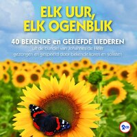 Hoe lief'lijk, hoe vol heilgenot - John Gemengd Koor "Immanuël" & Harm Hoeve