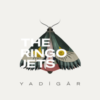 The Light - The Ringo Jets