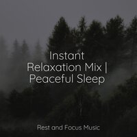 The Mirror - Namaste Healing Yoga & Sounds of Nature White Noise for Mindfulness Meditation and Relaxation & Sleepy Times