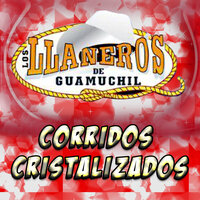 Los Tres Amezcuas - Los Llaneros De Guamuchil