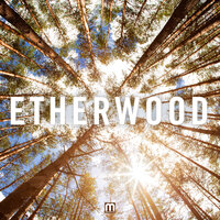 Falling Out Of Consciousness - Etherwood & Georgia Yates & Bev Lee Harling