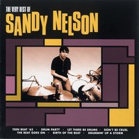 Shake Rattle And Roll - Sandy Nelson