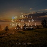 Flujo Profundo - Canciones de Cuna para Bebés Acadèmico & Academia de Música para Massagem e Relaxamento & Música a Relajarse