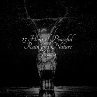Traffic Rain - White Noise Nature Sounds Baby Sleep & Alpha Waves & Naturaleza Sonidos