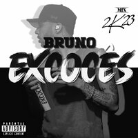 Só Quero Putaria - BRUNO EXCOCÊS