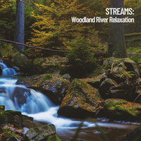 Rapid Woodland Splash - Water Science & Waterfall Sounds & Rain Sounds For Sleep
