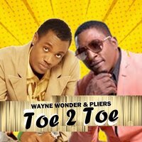Its Bin so Long - Wayne Wonder