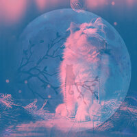 Background for Home Cats - Cat Music Relaxation