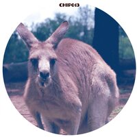 Skippy - Dr Cryptic & Dr. Oscillator