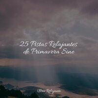 Música Suave - Meditação Yoga & Massagem Música & Sueños Triplete