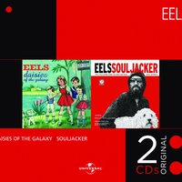 Daisies Of The Galaxy - Eels