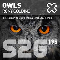Owls - Rony Golding
