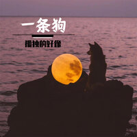 孤独的好像一条狗 - 不许熬夜了