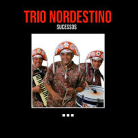 Por Causa da Pepita - Trio Nordestino
