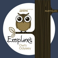 Owl Crosses River And Sea - Exoplanet
