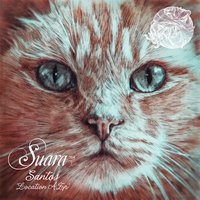 Chicago - Santos