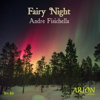 Silverlight - Andre Fisichella
